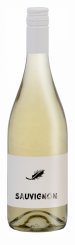 Sauvignon 2023, pozdný sber
