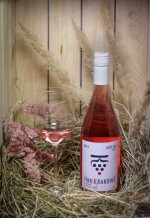 Cabernet Moravia 2023, zemské víno
