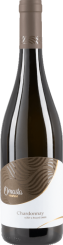 Chardonnay 2023, pozdný sber