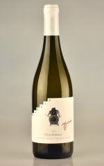 Chardonnay 2022, pozdný sber