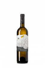 Sauvignon Terroir 2022, pozdný sber
