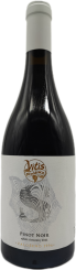 Pinot noir 2021, výber z hrozna