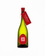 Sauvignon Blanc BETON 2022, zemské víno