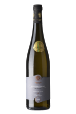 Ryzlink rýnský (Sommelier Select) 2022, pozdný sber (suché), Davinus