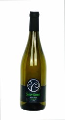 Sauvignon 2022, pozdný sber