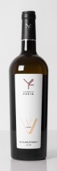 Ryzlink rýnský Virgin - 2018 2018, zemské víno