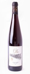 Pinot Noir 2021, pozdný sber