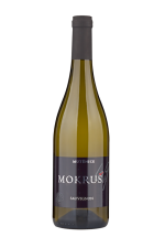 Sauvignon 2022, pozdný sber