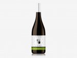 Sauvignon OAK 2019, pozdný sber