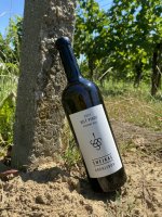 Bílý Pinot Vrchní díle 2021, zemské víno