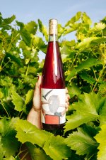 NU ROSÉ 2020, zemské víno