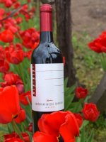 Svatovavřinecké BARRIQUE 2018, zemské víno (suché), Vinařství Měřínský