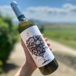 Cuvée Pospolu 2020, pozdný sber (polosuché), Sonberk