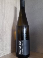 Creative wine (Ryzlink vlašský & Sauvignon ) „Víno s pastelkou“ 2019, zemské víno (suché), VINAŘSTVÍ BÍLKOVI