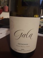 Sauvignon 2019, pozdný sber (suché), Gala Vinařství