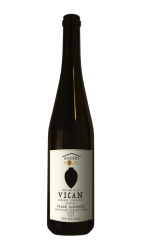 Franz Kabernet kvevri 2019, zemské víno
