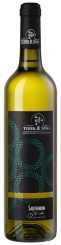 Sauvignon 2018, pozdný sber