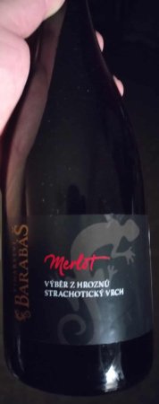 Fľaša vína Merlot 2022, výber z hrozna (suché)
