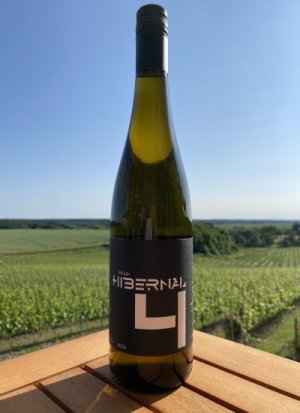 Fľaša vína Hibernal 2024, české zemské víno (suché)