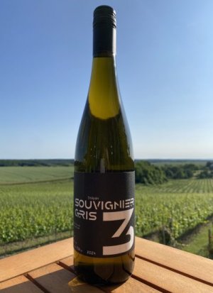 Fľaša vína Souvignier gris 2024, české zemské víno (polosuché)