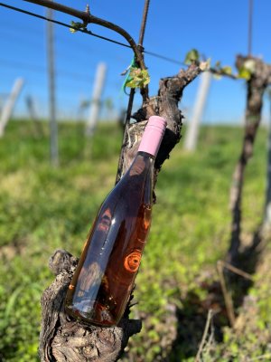 Fľaša vína Frizzé - Cabernet Sauvignon klaret 2024, moravské zemské víno - perlivé (polosladké)
