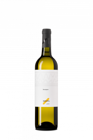 Fľaša vína Sauvignon 2024, pozdný sber (polosuché)