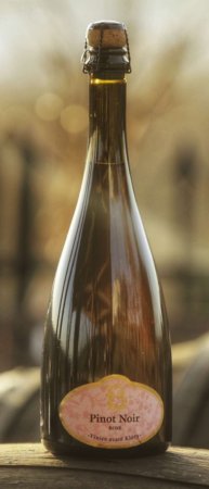 Fľaša vína Pinot Noir Blanc de noirs, akostné šumivé víno (brut nature)