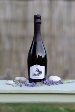 Fľaša vína SEKT Ryzlink rýnský 2023, šumivé víno (brut)