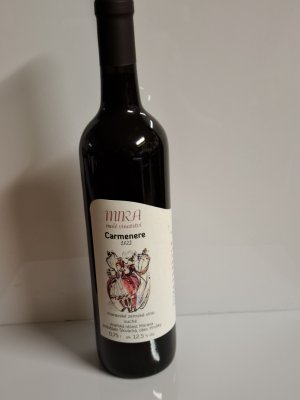 Fľaša vína Carmenere 2022, moravské zemské víno (suché)