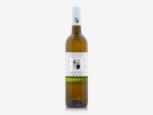 Fľaša vína Sauvignon 2023, pozdný sber (suché)