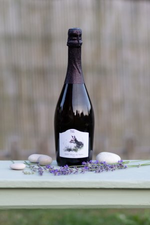 Fľaša vína SEKT Blanc de Noirs 2023, šumivé víno (brut)