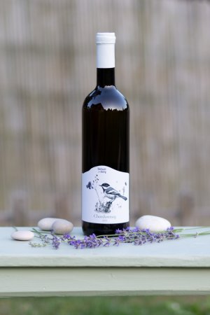 Fľaša vína Chardonnay 2023, české zemské víno (polosuché)