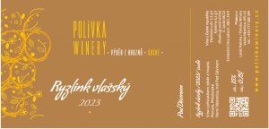 Fľaša vína Ryzlink vlašský 2023, výber z hrozna (suché)