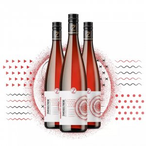 Fľaša vína Zweigeltrebe 2021, pozdný sber (suché)
