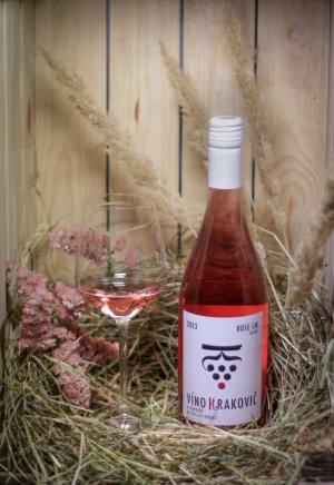 Fľaša vína Cabernet Moravia 2023, zemské víno (suché)
