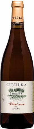Fľaša vína Pinot noir 2023, pozdný sber (suché)
