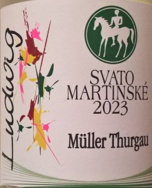Fľaša vína Müller Thurgau Svatomartinské 2023, zemské víno (suché)