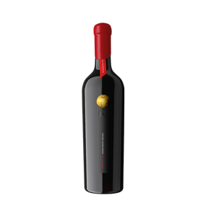 Fľaša vína Chardonnay Barrique 2021, zemské víno (suché)