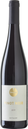 Fľaša vína Pinot noir 2019, pozdný sber (suché)