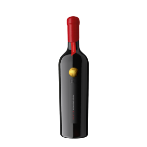 Fľaša vína Cabernet Moravia 2021, zemské víno (suché)