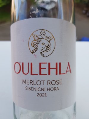Fľaša vína Merlot rosé 2021, pozdný sber