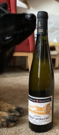 Fľaša vína SOMMELIER COLLECTION Muškát moravský 2021, pozdný sber (polosuché)