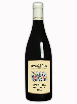 Fľaša vína Stará hora Pinot noir barrique 2020, výber z hrozna (suché)