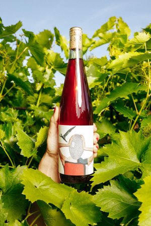 Fľaša vína NU ROSÉ 2020, zemské víno (suché)