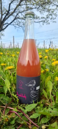 Fľaša vína The Pink Lady - Pet Nat 2020, zemské víno - perlivé (brut nature)