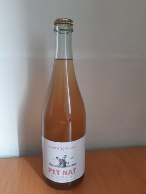 Fľaša vína Rulandské modré 2019, zemské víno - perlivé (suché)