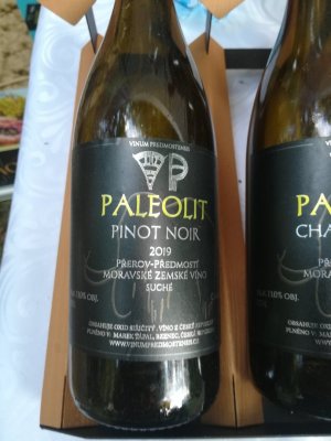 Fľaša vína Pinot noir 2019, zemské víno (suché)