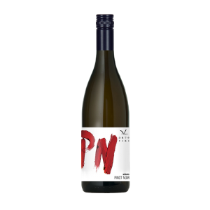 Fľaša vína Pinot noir (PN) 2019, zemské víno (suché)
