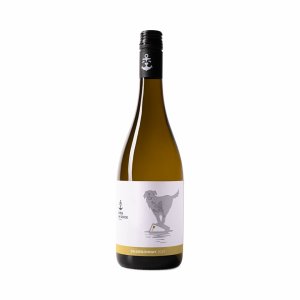 Fľaša vína Chardonnay 2019, pozdný sber (suché)