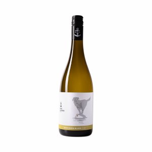 Fľaša vína Sauvignon Blanc 2019, pozdný sber (polosuché)